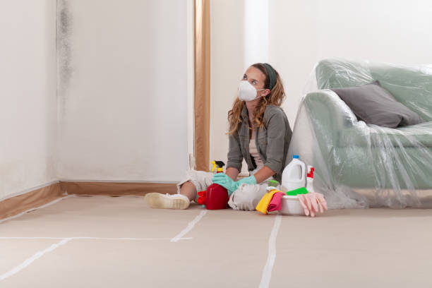 Reliable Attic Mold Removal contractor in Perkasie, PA by WQB Mold Removal