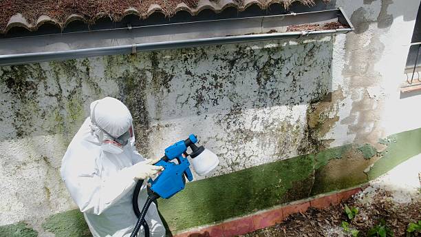 Top rated local Attic Mold Removal specialists in Perkasie, PA
